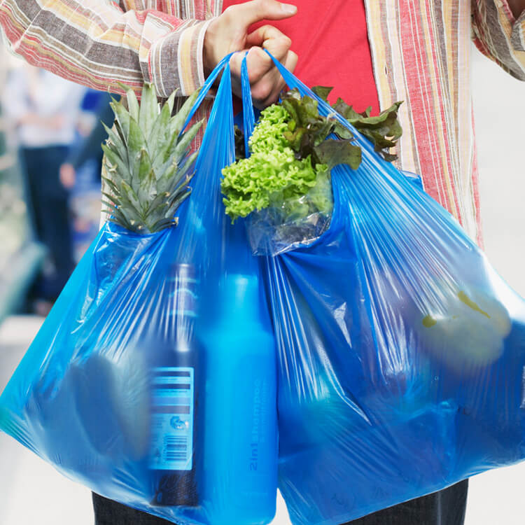 Bolsa de la compra